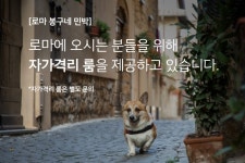 로마 봉구네 민박 (구 자고가 하우스)의 숙소 - 민다