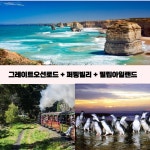 [OK여행사] 🔥핵꿀잼 소그룹 투어 |🚗그레이트 오션로드+🚂퍼핑 빌리+🐧 - 민다