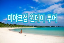 [미야코 한인가이드 단독투어/ 자유여행] 미야코섬 곳곳을 with 현지가