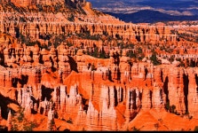 [1박2일] 그랜드서클  + 그랜드캐년 투어 : 미국/라스베가스 - 민다