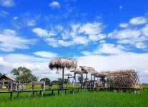 아유타야 반일 단독 투어 / 방콕 출발 - 민다
