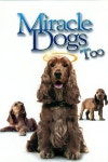 Miracle Dogs Too (2006) — The Movie Database (TMDb) Miracle Dogs Too