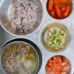 9월 14일 (수) 점심 급식사진 :: 급식 소식 :: 신탄진용정초등학교 신탄진용정초등학교 :: 급식 소식 :: 9월 14일 (수) 점심 급식사진