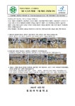 경희 시그니처 체육품 11월 태권도 교육과정 안내 :: 가정통신문 :: 경희여자중학교 경희여자중학교 :: 가정통신문 :: 경희 시그니처 체육품 11월... 