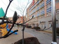 해오름초등학교 :: 공지사항 :: ▣ 졸업과 함께 새해를 맞이하는 1월입니다.