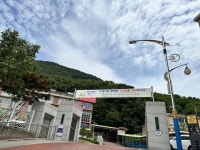 :: 공지사항 :: 도계고등학교 도계고등학교 :: 공지사항 :: [바른 도계고人 캠페인 주간 운영]에 적극 동참해 주시기 바랍니다.