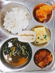6월 20일 (화) 점심 급식사진 :: 급식 소식 :: 관양중학교 관양중학교 :: 급식 소식 :: 6월 20일 (화) 점심 급식사진