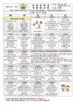 11월 급식 안내 :: 가정통신문 :: 송양중학교 송양중학교 :: 가정통신문 :: 11월 급식 안내