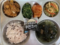 구서초등학교 :: 급식 소식 :: 11월 1일 (수) 점심 급식사진