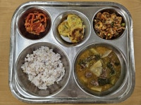 11월 7일 (화) 점심 급식사진 :: 급식 소식 :: 대전동화중학교 대전동화중학교 :: 급식 소식 :: 11월 7일 (화) 점심 급식사진