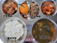 11월 7일 (화) 점심 급식사진 :: 급식 소식 :: 송호초등학교 송호초등학교 :: 급식 소식 :: 11월 7일 (화) 점심 급식사진