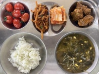 11월 16일 (목) 점심 급식사진 :: 급식 소식 :: 통진초등학교 통진초등학교 :: 급식 소식 :: 11월 16일 (목) 점심 급식사진