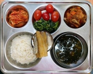 11월 20일 (월) 점심 급식사진 :: 급식 소식 :: 몰운대초등학교 몰운대초등학교 :: 급식 소식 :: 11월 20일 (월) 점심 급식사진