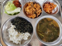11월 20일 (월) 점심 급식사진 :: 급식 소식 :: 판곡초등학교 판곡초등학교 :: 급식 소식 :: 11월 20일 (월) 점심 급식사진