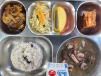 11월 21일 (화) 점심 급식사진 :: 급식 소식 :: 서울명일초등학교 서울명일초등학교 :: 급식 소식 :: 11월 21일 (화) 점심 급식사진