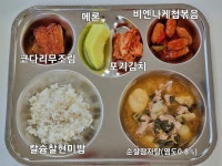 11월 21일 (화) 점심 급식사진 :: 급식 소식 :: 강신중학교 강신중학교 :: 급식 소식 :: 11월 21일 (화) 점심 급식사진