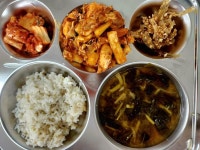 11월 23일 (목) 점심 급식사진 :: 급식 소식 :: 성남문원중학교 성남문원중학교 :: 급식 소식 :: 11월 23일 (목) 점심 급식사진