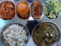 11월 24일 (금) 점심 급식사진 :: 급식 소식 :: 서울창경초등학교 서울창경초등학교 :: 급식 소식 :: 11월 24일 (금) 점심 급식사진