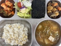 서울미성초등학교 :: 급식 소식 :: 12월 11일 (월) 점심 급식사진