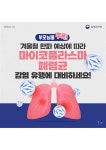 마이코플라즈마 폐렴균 감염증 카드뉴스 :: 공지사항 :: 대구포산초등학교 대구포산초등학교 :: 공지사항 :: 마이코플라즈마 폐렴균 감염증 카드뉴스