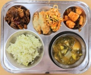 2024년  3월  19일 식판사진 :: 급식 소식 :: 유성생명과학고등학교 유성생명과학고등학교 :: 급식 소식 :: 2024년  3월  19일 식판사진