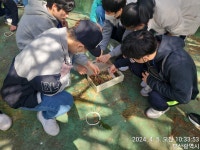 (사)부산경남숲해설가협회와 함께 하는 스스로 서기 위한 숲 체험 교육 :: 공지사항 :: 부산혜성학교 부산혜성학교 :: 공지사항 :: (사)부산경남숲해... 