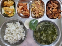 5월 첫째주 사진 :: 급식 소식 :: 전주평화초등학교 전주평화초등학교 :: 급식 소식 :: 5월 첫째주 사진