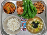 5월 23일 (목) 점심 급식사진 :: 급식 소식 :: 용인신촌중학교 용인신촌중학교 :: 급식 소식 :: 5월 23일 (목) 점심 급식사진
