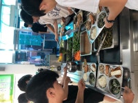 2024년 과일·채소데이, 그 두번째 날! :: 급식게시판 :: 하동고등학교 하동고등학교 :: 급식게시판 :: 2024년 과일·채소데이, 그 두번째 날!