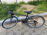 [안내] 분실물 안내 :: 공지사항 :: 큰별초등학교 큰별초등학교 :: 공지사항 :: [안내] 분실물 안내