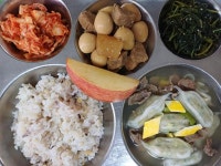 둔전초등학교