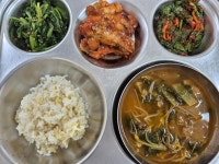 신탄진용정초등학교