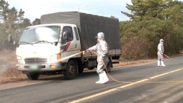 광주 기러기 농장서 H5형 조류인플루엔자 항원 검출 | TVING