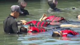 “해녀 삼춘, 군인 아저씨 손잡고 배워요” 제주 생존수영 눈길 | TVING