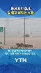 충남 예산 축사 피해 현황 | TVING