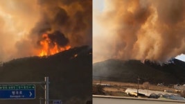 [온마이크] 밀양 삼랑진읍 야산서 불…소방·산불 1단계 발령 | TVING
