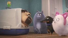 [판매종료]마이펫의 이중생활 2 | TVING [판매종료]마이펫의 이중생활 2  | TVING