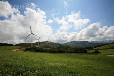 프리진 - 스톡 이미지, 사진, 일러스트, 벡터, 웹디자인. 이미지 사이트