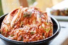 프리진 - 스톡 이미지, 사진, 일러스트, 벡터, 웹디자인. 이미지 사이트