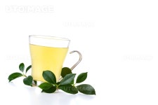 프리진 - 스톡 이미지, 사진, 일러스트, 벡터, 웹디자인. 이미지 사이트