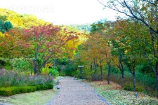 프리진 - 스톡 이미지, 사진, 일러스트, 벡터, 웹디자인. 이미지 사이트