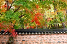 프리진 - 스톡 이미지, 사진, 일러스트, 벡터, 웹디자인. 이미지 사이트