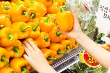 프리진 - 스톡 이미지, 사진, 일러스트, 벡터, 웹디자인. 이미지 사이트