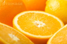 프리진 - 스톡 이미지, 사진, 일러스트, 벡터, 웹디자인. 이미지 사이트