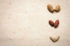 프리진 - 스톡 이미지, 사진, 일러스트, 벡터, 웹디자인. 이미지 사이트