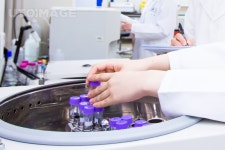 프리진 - 스톡 이미지, 사진, 일러스트, 벡터, 웹디자인. 이미지 사이트