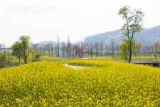 프리진 - 스톡 이미지, 사진, 일러스트, 벡터, 웹디자인. 이미지 사이트