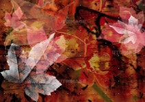 유토이미지 | Flower & Leaf Play