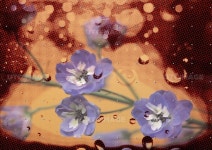 유토이미지 | Flower & Leaf Play