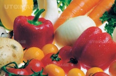 프리진 - 스톡 이미지, 사진, 일러스트, 벡터, 웹디자인. 이미지 사이트